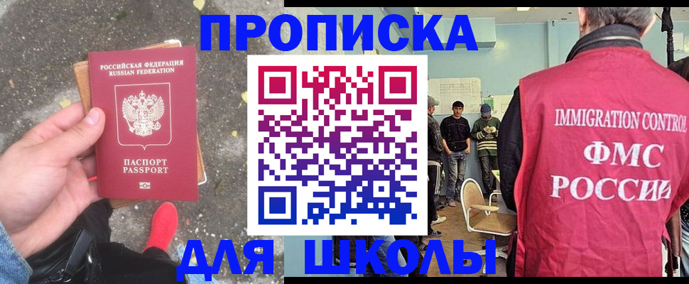 где прописаться в Дмитрове